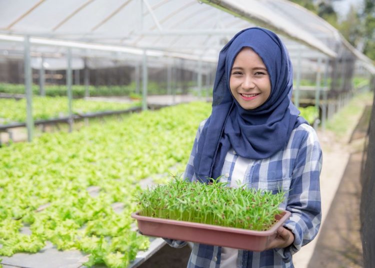 Begini Peran Petani Milenial Dongkrak Ekonomi Sektor Pertanian Dengan ...